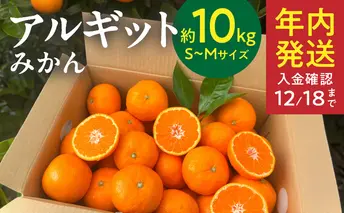 YA1004_完熟 アルギット みかん 10kg S～M サイズ