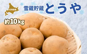 北海道 雪蔵 とうや  L~LM 約10kg 2026年2月中旬より順次お届け じゃがいも ジャガイモ じゃが芋 馬鈴薯 芋 いも イモ 旬 雪蔵貯蔵 野菜 農作物 カレー シチュー肉じゃが 北海道産 丸田農園 送料無料