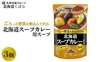 ごろっと野菜を煮込んで作る北海道スープカレー用スープ×3個[860004]