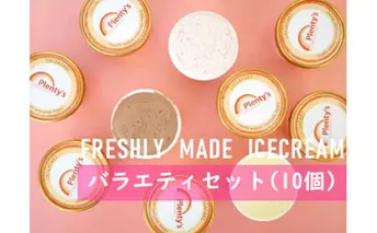 【湘南茅ヶ崎の人気店】 プレンティーズのアイスクリーム（バラエティセット10個） お菓子 スイーツ ひんやり デザート 夏 おしゃれ かわいい 食べ比べ