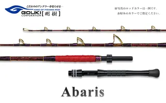 剛樹 アバリス235 （ABARIS 235SS） 235cm ウェイト負荷100-300号 釣り 釣具 釣竿 ロッド 釣り用品 釣り竿 海釣り 