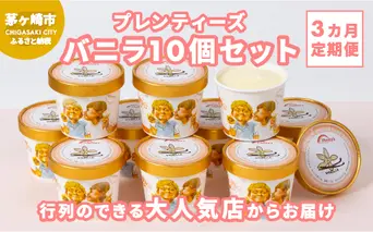 3ヵ月定期便 プレンティーズ バニラ 10個セット アイス アイスクリーム 氷菓 バニラアイス バニラ味 バニラ フレーバー バニラビーンズ スタンダードバニラ ローカルアイス ご当地グルメ お取り寄せ 送料無料 神奈川県 茅ヶ崎市