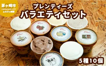 プレンティーズ バラエティアイスセット 5種10個【のし有】