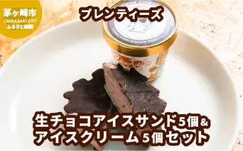 プレンティーズ 生チョコアイスサンド＆アイスクリームセット 各5個 計10個【のし無】