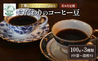 【6ヵ月定期便】丁寧にハンドピックされたこだわりのコーヒー豆100g×3種類(中深～深煎り)【豆】  珈琲 コーヒー豆 珈琲豆 豆 焙煎 自家焙煎 セット