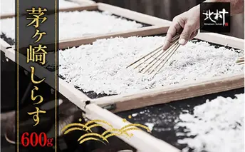 茅ヶ崎 しらす 生 新鮮 600g 網元 船 茹で上げ ゆでる 天日干し 白 透明 湘南 相模湾 朝獲れ  食卓  しらす丼 ポン酢 卵 海 漁 湯切り 濃厚 ふっくら 冷凍 神奈川県 茅ケ崎市