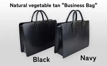 Business Bag Navy