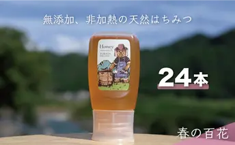 合計7200g 天然蜂蜜 国産蜂蜜 非加熱 生はちみつ 岐阜県 美濃市産 春 (蜂蜜300g入りピタッとボトル24本セット) A19 深田養蜂のハチミツ
