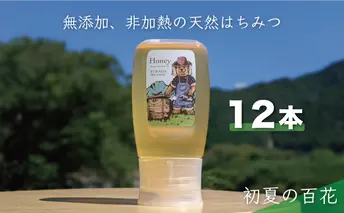合計3600g 天然蜂蜜 国産蜂蜜 非加熱 生はちみつ 岐阜県 美濃市産 初夏 (蜂蜜300g入りピタッとボトル12本セット) B18 深田養蜂のハチミツ
