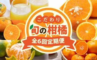 ZT6301_こだわり旬の柑橘定期便《全6回》固定月発送