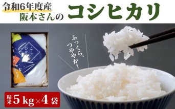 コシヒカリ 精米5kg×4袋 計20kg 令和6年産 ｜ 久万高原町 米 新米 お米 こめ コメ 愛媛 ※2024年9月中旬頃より順次発送予定 ※離島への配送不可