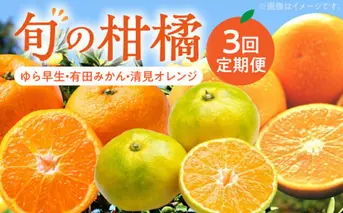 ZD62-T01_旬の柑橘定期便【全3回】