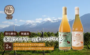 【酸化防止剤無添加 野生酵母 無濾過】オレンジワイン 2本 多田ワイナリー 北海道 上富良野町 ワイン 果実酒