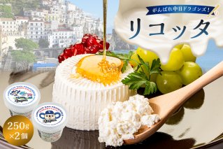 がんばれ中日ドラゴンズ！リコッタ（2022金賞）2個【中日ドラゴンズコラボ】 【0073-070】