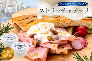 がんばれ中日ドラゴンズ！ストラッチャテッラ2個【中日ドラゴンズコラボ】 【0073-073】