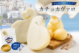 がんばれ中日ドラゴンズ！カチョカヴァロ500g【中日ドラゴンズコラボ】 【0073-076】