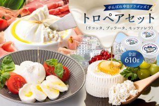 がんばれ中日ドラゴンズ！トロペアセット（JCA2022金賞・銀賞・銅賞）【中日ドラゴンズコラボ】 【0073-078】
