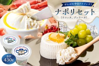 がんばれ中日ドラゴンズ！ナポリセット（JCA2022金賞・銀賞）【中日ドラゴンズコラボ】 【0073-079】