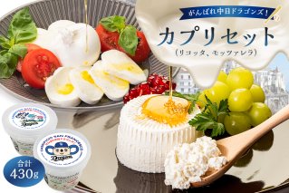 がんばれ中日ドラゴンズ！カプリセット（JCA2022金賞・銅賞）【中日ドラゴンズコラボ】 【0073-080】