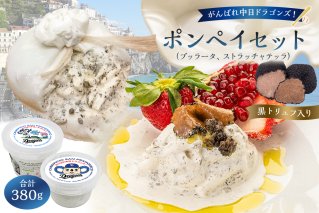 がんばれ中日ドラゴンズ！ポンペイセット【中日ドラゴンズコラボ】 【0073-082】