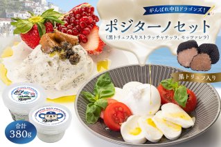 がんばれ中日ドラゴンズ！ポジターノセット【中日ドラゴンズコラボ】 【0073-083】