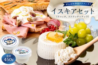 がんばれ中日ドラゴンズ！イスキアセット【中日ドラゴンズコラボ】 【0073-084】