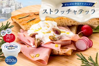 がんばれ中日ドラゴンズ！ストラッチャテッラ1個【中日ドラゴンズコラボ】 【0073-087】