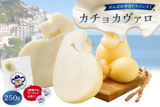 がんばれ中日ドラゴンズ！カチョカヴァロ1個【中日ドラゴンズコラボ】 【0073-088】