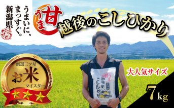 【令和6年産】甘うま越後のこしひかり 7kg 越後 えちご 玄米 特別栽培米 新潟 コメ こめ お米 米 しんまい 新潟県 新潟米 新発田市 新発田産 10月発送  toushin006_01