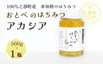 【2024年採れたて！新物！】＜おとべのはちみつ アカシア500g×1本＞北海道 道産 乙部町 蜂密 ハチミツ 魚つきの森からの恵み 天然 非加熱はちみつ 非加熱 アカシア蜜 ハニー 食品 おすすめ ミネラル 豊富 健康