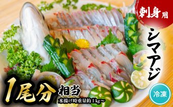 シマアジ 刺身用 1尾分相当 水揚げ時重量1kg以上 しまあじ 縞鯵 小分け 養殖 冷凍