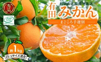 ZE6449_【秀品】【2026先行予約】有田みかん 和歌山県有田産 10kg (2S～Lサイズ混合) 【まごころ手選別】【産地直送】