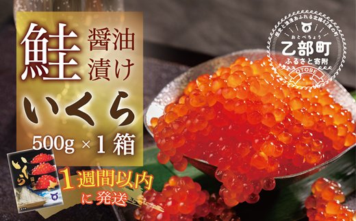 数量限定 】＜いくら醤油漬 1パック（500ｇ）＞鮮度にこだわる「笹谷商店」の絶品の醤油タレで漬けたいくら（検索：イクラ 鮭いくら 鮭イクラ  醤油いくら 醤油イクラ いくら醤油漬け イクラ醤油漬け 醤油漬 いくら丼 秋鮭 国産 北海道産 北海道乙部町 日本海 冷凍 人気 訳 ...