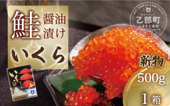 【新物】＜いくら醤油漬　1パック（500ｇ）＞鮮度にこだわる「笹谷商店」の絶品の醤油タレで漬けたいくら（検索：イクラ 鮭いくら 鮭イクラ 醤油いくら 醤油イクラ いくら醤油漬け イクラ醤油漬け 醤油漬 いくら丼 秋鮭 国産 北海道産 北海道乙部町 日本海 冷凍 人気 使い道 ふるさと納税）