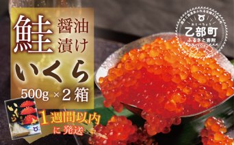 【数量限定】＜いくら醤油漬　２パック（500g×２）１kg＞鮮度にこだわる「笹谷商店」の絶品の醤油タレで漬けたいくら（検索：イクラ 鮭いくら 鮭イクラ 醤油いくら 醤油イクラ いくら醤油漬け イクラ醤油漬け 醤油漬 いくら丼 秋鮭 国産 北海道産 北海道乙部町 日本海 冷凍 人気 訳あり 定額減税 使い道 ふるさと納税）