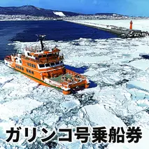 14-96 ガリンコ号3 IMERU 冬期運航 流氷クルーズ乗船券