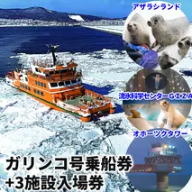 17-79 ガリンコ号3 IMERU 冬期運航 流氷クルーズ乗船券（3施設入場券セット）