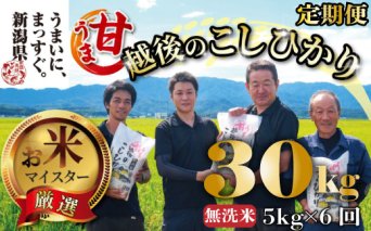 【令和6年産】無洗米 コシヒカリ 定期便 5kg 6ヵ月 30kg 甘うま越後のこしひかり 越後 えちご  特別栽培米 新潟 コメ こめ お米 米 新潟県 新潟米 新発田市 新発田産 toushin00701