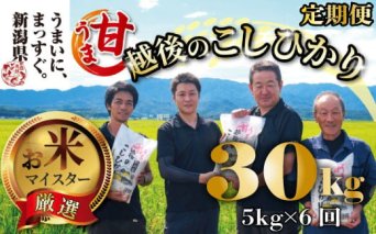 【令和6年産】コシヒカリ 定期便 5kg 6ヵ月 30kg 甘うま越後のこしひかり 越後 えちご  特別栽培米 新潟 コメ こめ お米 米 新潟県 新潟米 新発田市 新発田産 toushin008_01