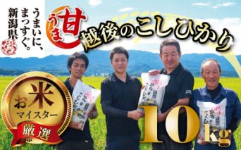 【令和6年産】コシヒカリ 10kg 5kg 2袋 甘うま越後のこしひかり 越後 えちご 特別栽培米 新潟 コメ こめ お米 米 新潟県 新潟米 新発田市 新発田産 toushin014_01