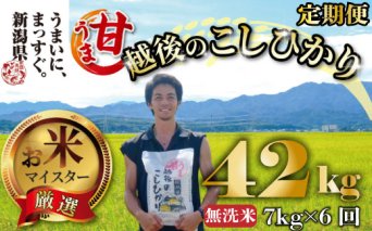 【令和6年産】 新米 無洗米 コシヒカリ 定期便 7kg 6ヵ月 42kg 甘うま越後のこしひかり 越後 えちご  特別栽培米 新潟 コメ こめ お米 米 しんまい 新潟県 新潟米 新発田市 新発田産 toushin00901