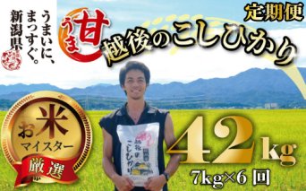 【令和6年産】コシヒカリ 定期便 7kg 6ヵ月 42kg 甘うま越後のこしひかり 越後 えちご  特別栽培米 新潟 コメ こめ お米 米 新潟県 新潟米 新発田市 新発田産 toushin01001