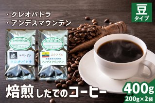 焙煎したてのコーヒー豆 2袋 (クレオパトラ・アンデスマウンテン)[豆][0264]