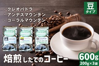 焙煎したてのコーヒー豆 3袋 (クレオパトラ・アンデスマウンテン・コーラルマウンテン)[豆][0267]