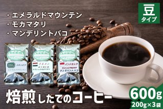 焙煎したてのコーヒー豆 3袋 (エメラルドマウンテン・クラシックモカマタリ・マンデリントバコ)【豆】[0270]