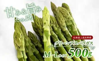 先行予約 【2025年 発送】 北海道 上富良野産 グリーン アスパラガス M-L サイズ 500g アスパラ 上富良野町 令和7年 発送 野菜 やさい【オンライン決済限定】