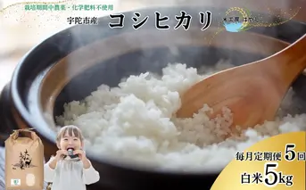 <掲載中止>【毎月定期便5回】令和6年宇陀市産 栽培期間中無農薬・無化学肥料米 白米5kg / ふるさと納税 米 こめ お米 お取り寄せ 美味しい ブランド オススメ 産地 大和高原 精米済 送料無料 奈良 宇陀 令和6年 新米 白米 コシヒカリ 米工房はやし