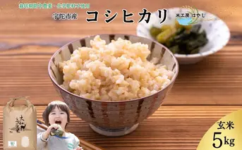 <掲載中止>令和6年産 宇陀市産 栽培期間中無農薬・無化学肥料米 玄米5kg / ふるさと納税 米 こめ お米 お取り寄せ 美味しい ブランド オススメ 産地 大和高原 送料無料 奈良 宇陀 令和6年 新米 白米 コシヒカリ 米工房はやし