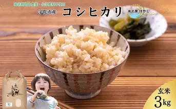 <掲載中止>令和6年産 宇陀市産 栽培期間中無農薬・無化学肥料米 玄米3kg / ふるさと納税 米 こめ お米 お取り寄せ 美味しい ブランド オススメ 産地 大和高原 送料無料 奈良 宇陀 令和6年 新米 白米 コシヒカリ 米工房はやし