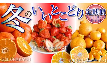 冬のいいとこどり定期便【全3回】 果物 詰合せ セット フルーツ 果物類 いちご 苺 イチゴ みかん 柑橘類